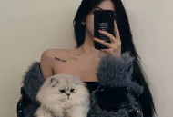 抖音咋举报视屏，化敌为友，如何巧妙利用举报机制反击抖音视频侵权