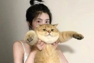 举报小红书博主有用吗，小红书举报背后的灰色生意，当维权变成一门玄学