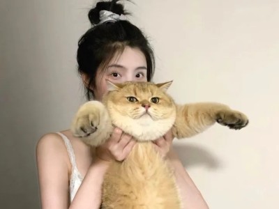 抖音直播间不怕举报的软件，抖音直播间不怕举报？揭开免检金牌背后的灰产真相