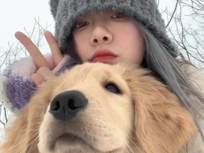 投诉快手主播最有效的电话，维权之殇，我在快手的投诉困局
