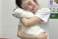 怎么举报主播才会停播，如何高效举报违规直播间？这份快速处理指南请收好
