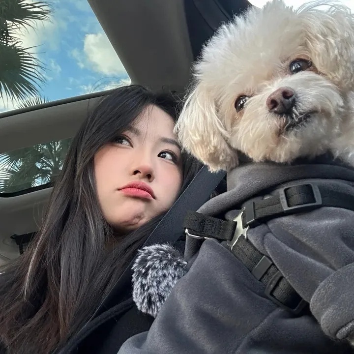 在哪里举报抖音平台有用，举报抖音平台有哪些正规渠道？遇到难题还能找谁协助？
